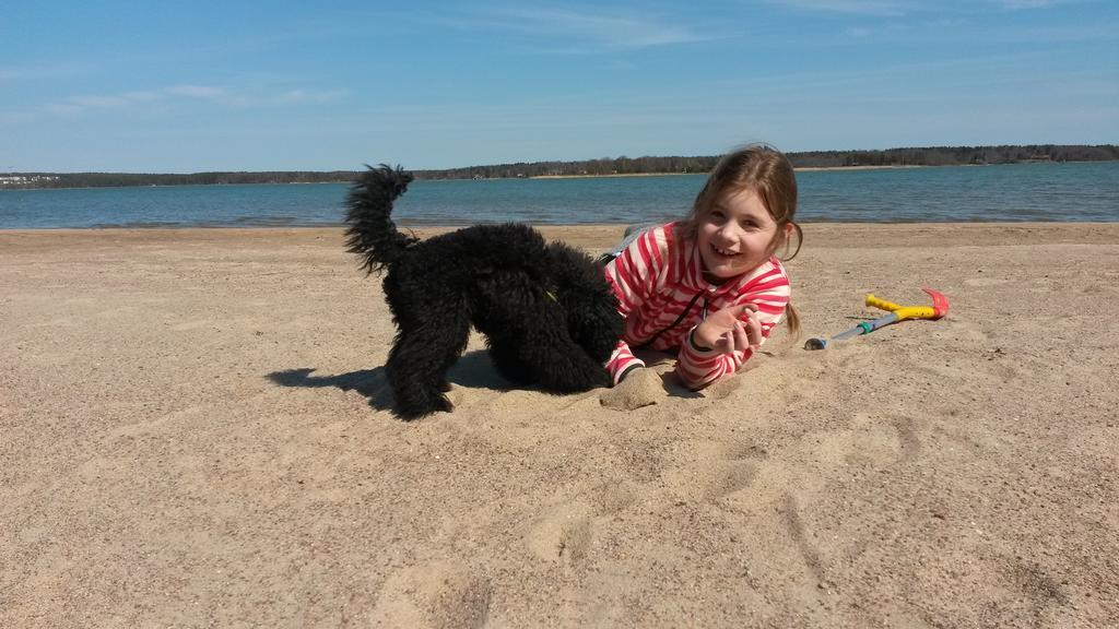 Groena Uddens Camping Mariehamn Dış mekan fotoğraf